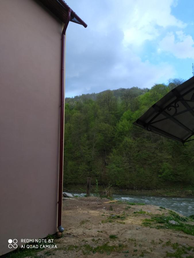 Panorama Daire Kvasy Dış mekan fotoğraf