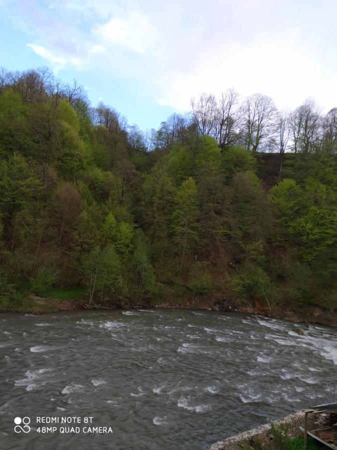 Panorama Daire Kvasy Dış mekan fotoğraf